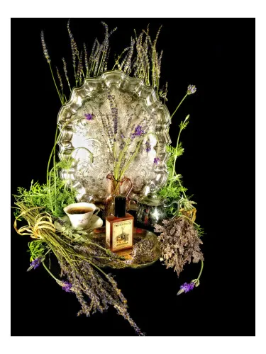 Imagen de Estate Lavender