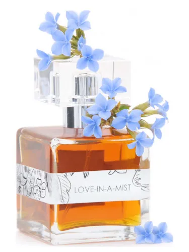 Imagen de Love-In-A-Mist