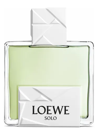 Imagen de Solo Loewe Origami