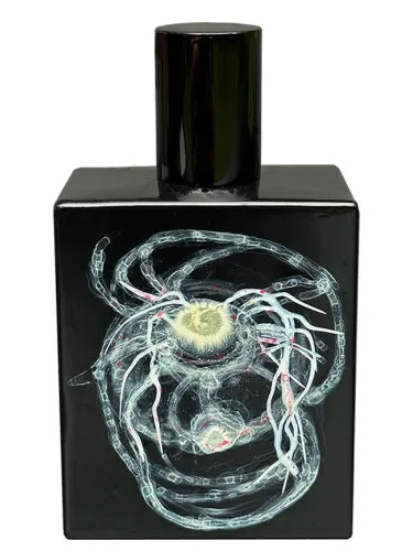 Perfume High to Lotus de Space Fluid