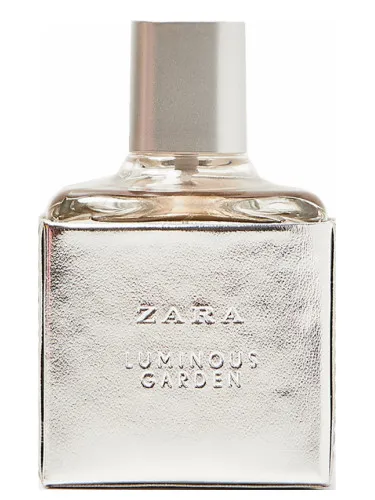 Imagen de Luminous Garden