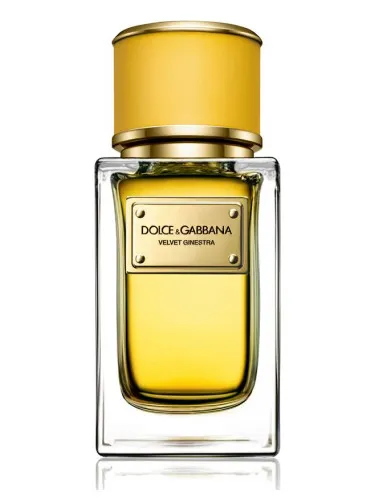 Perfume Velvet Ginestra de Dolce&Gabbana