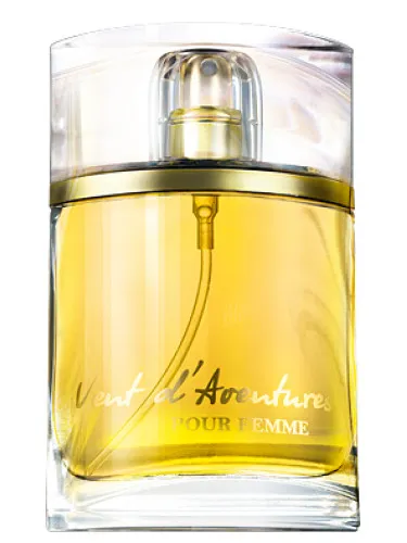 Perfume Vent d'Aventures Pour Femme de Faberlic