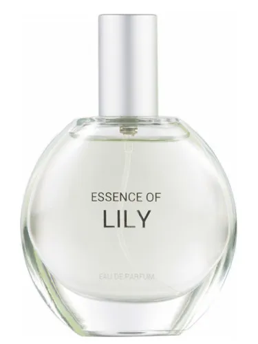 Imagen de Essence of Lily