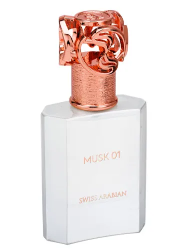 Imagen de Musk 01