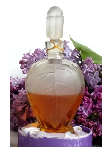 Perfume Rīgas cēriņi (Рижская сирень) de Dzintars