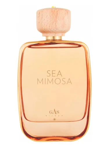 Perfume Sea Mimosa de Gas Bijoux