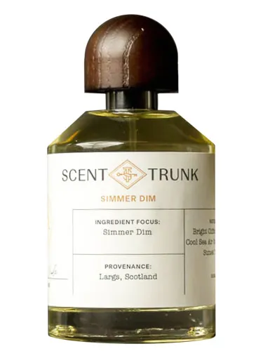 Perfume Simmer Dim de Scent Trunk