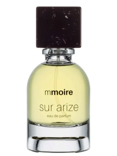 Imagen de Sur Arize