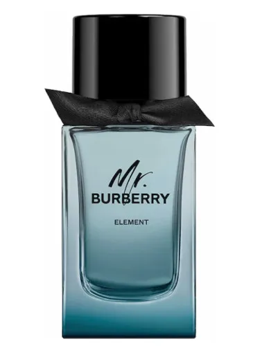 Imagen de Mr. Burberry Element