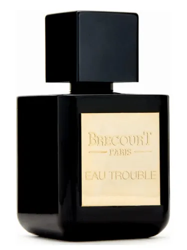 Perfume Eau Trouble de Brecourt