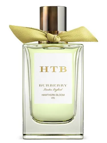Imagen de Hawthorn Bloom