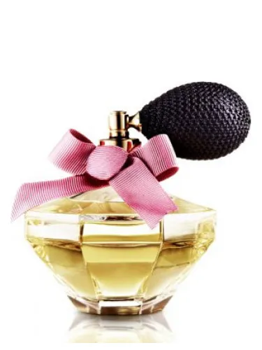 Imagen de Loverose