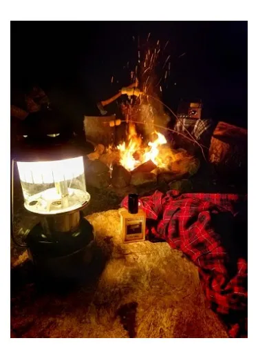 Perfume Camp Willow de Solstice Scents
