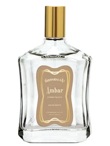 Imagen de Âmbar