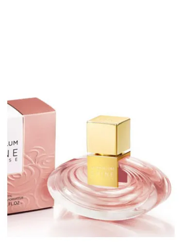 Imagen de Shine My Rose