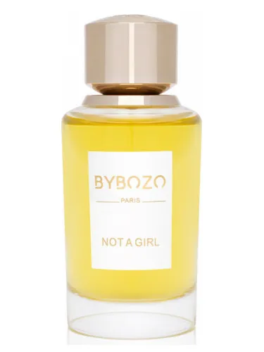 Imagen de Not a Girl