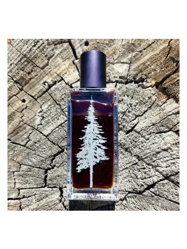 Perfume Nocturnis de Pineward Perfumes