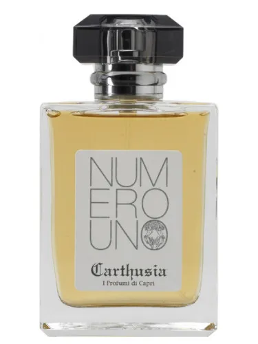 Imagen de Numero Uno