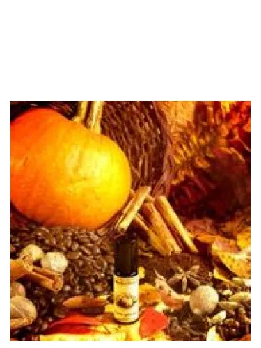 Perfume Pumpkin Spice Latte de Solstice Scents