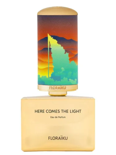 Imagen de Here Comes the Light