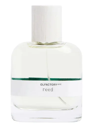 Perfume Reed de Olfactory NYC