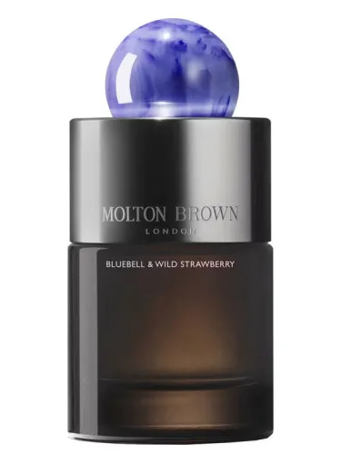 Imagen de Bluebell & Wild Strawberry