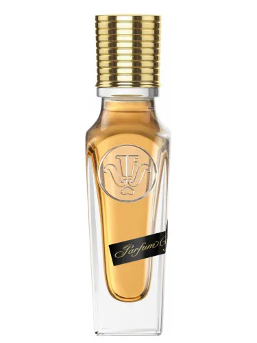 Imagen de Parfum Captive #2