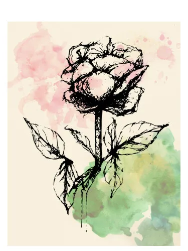 Imagen de No. 2