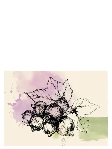 Perfume No. 5 de Allen Shaw