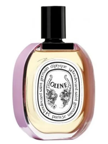 Imagen de Impossible Bouquet Olene