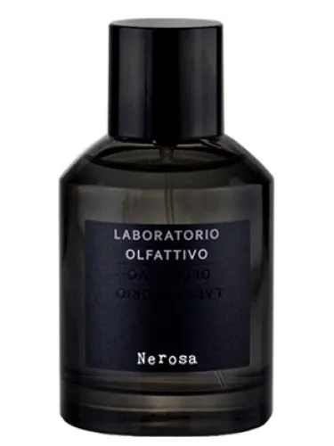 Perfume Nerosa de Laboratorio Olfattivo