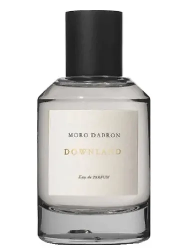 Imagen de Downland