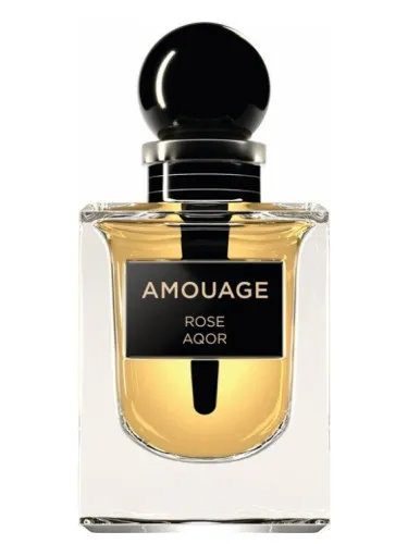 Imagen de Rose Aqor