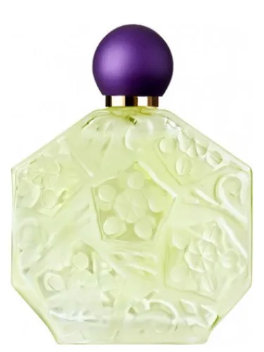 Imagen de Fleurs d'Ombre/Violette - Menthe