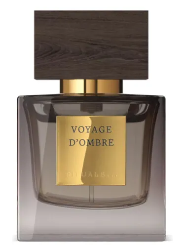 Imagen de Voyage d'Ombre