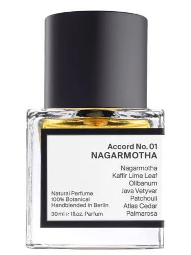 Imagen de Accord No. 01: Nagarmotha