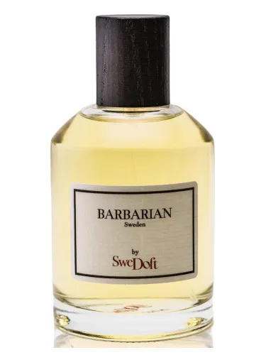 Imagen de Barbarian