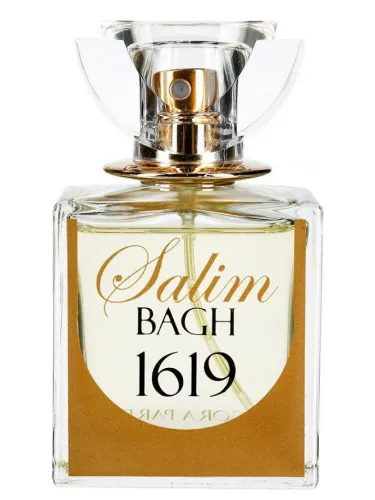 Imagen de Salim Bagh 1619