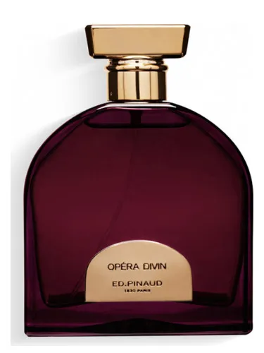 Imagen de Opéra Divin