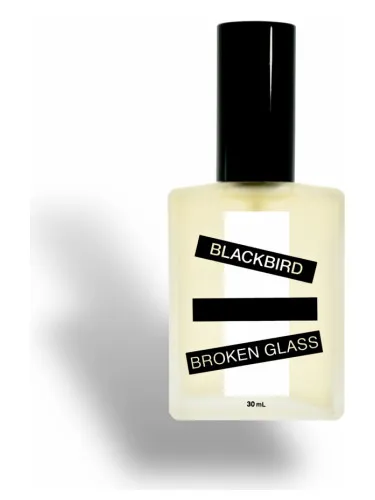 Imagen de Broken Glass