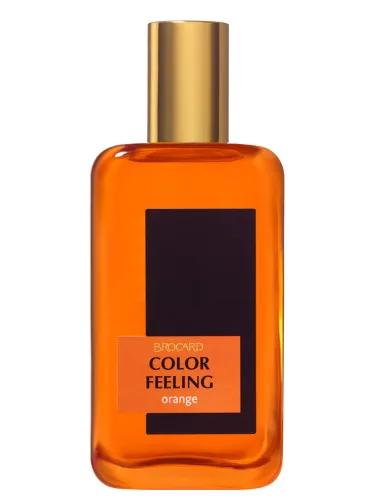 Imagen de Color Feeling Orange