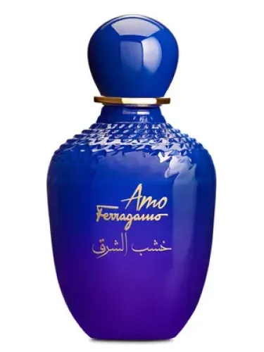Imagen de Amo Ferragamo Oriental Wood