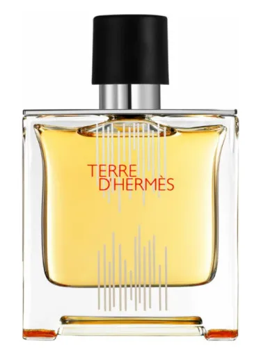 Imagen de Terre d'Hermes Flacon H 2021 Parfum