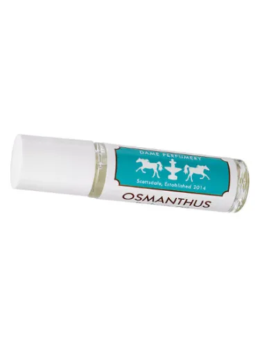 Imagen de Soliflore Osmanthus