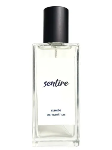 Imagen de Suede Osmanthus