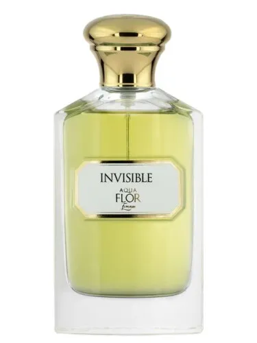Imagen de Invisible