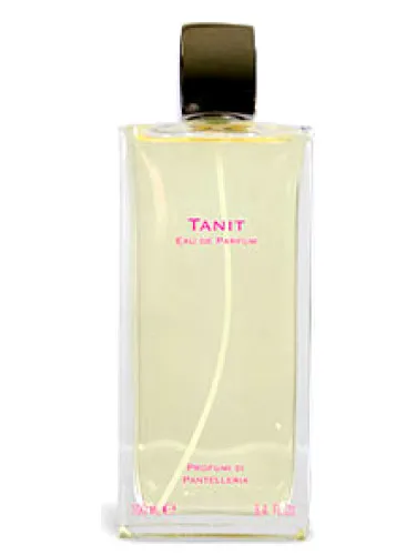 Imagen de Tanit
