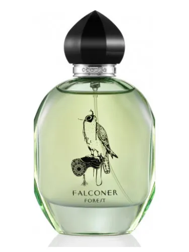 Imagen de Falconer Forest