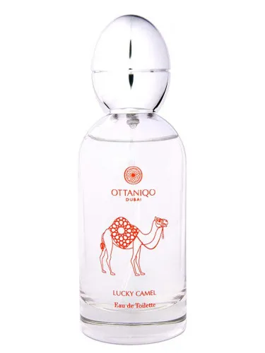 Imagen de Lucky Camel